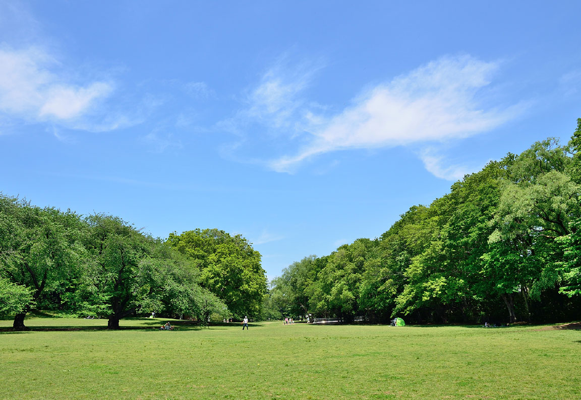 砧公園