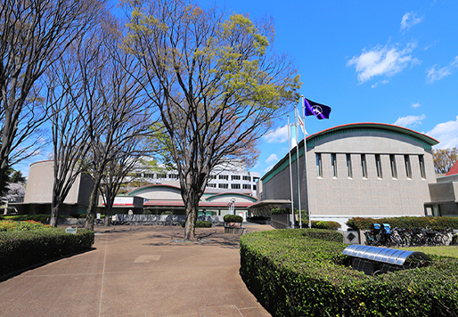 砧公園