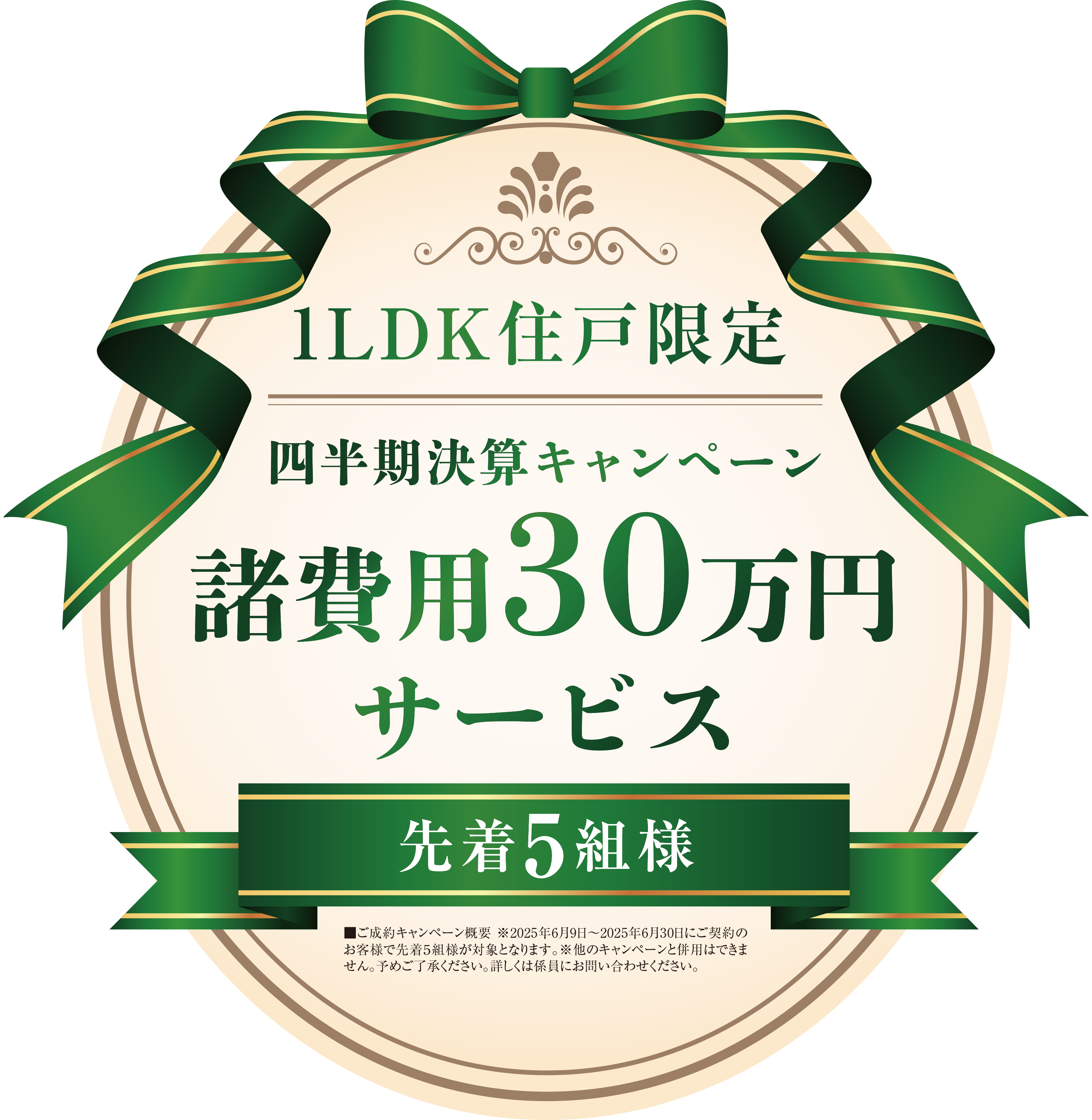 四半期決算キャンペーン諸費用30万円サービス先着5名様