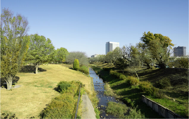 県立相模三川公園(1,090m／徒歩14分)