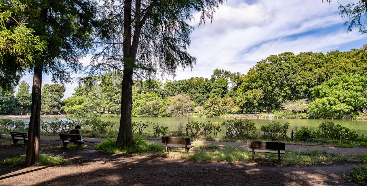 都立善福寺公園