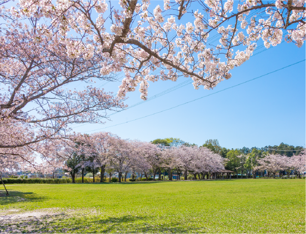 柏ふるさと公園