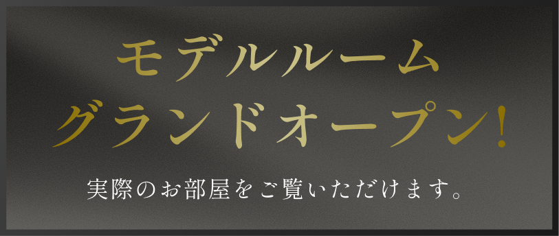 モデルルームグランドオープン！