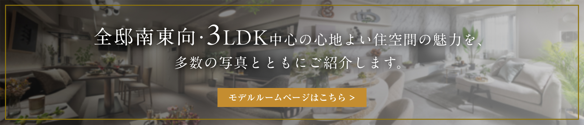 モデルルームオープン