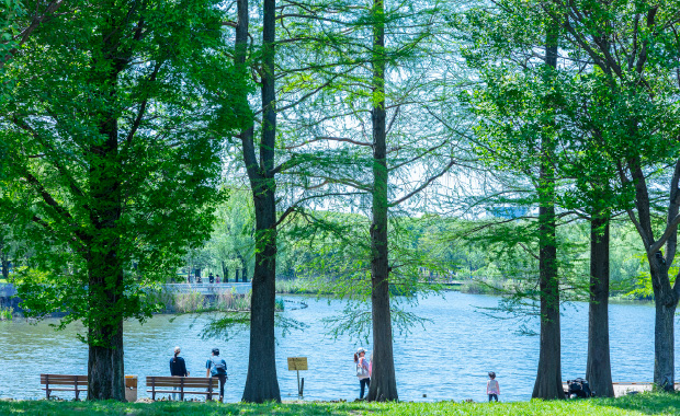 舎人公園