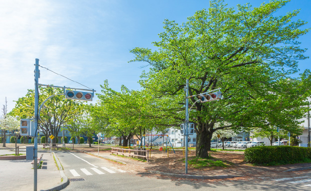 南平児童交通公園