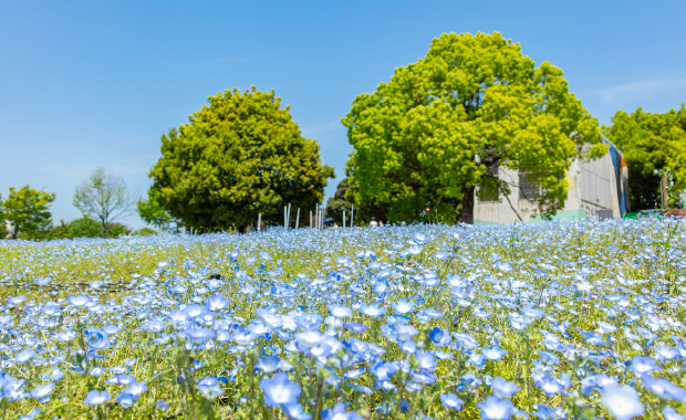 舎人公園