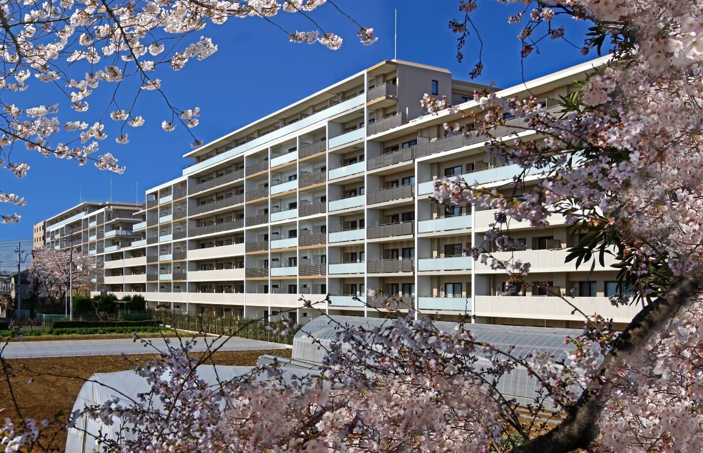 ルネ花小金井
