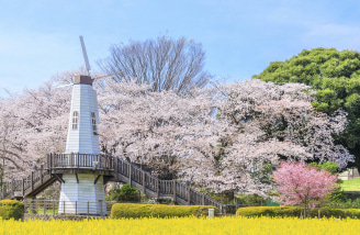 「見晴公園」へ