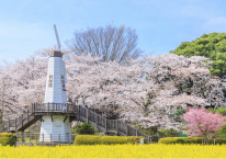 「見晴公園」へ