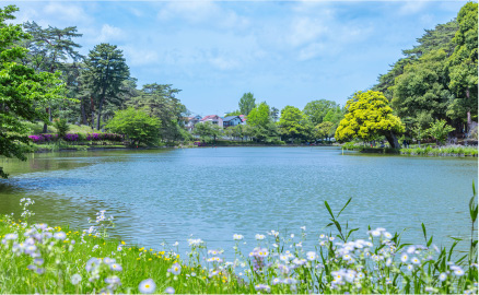 「大宮公園」へ